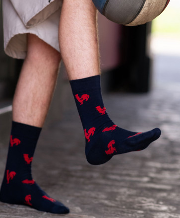 Chaussettes hautes coq aop -