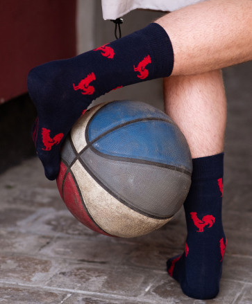 Chaussettes hautes coq aop -